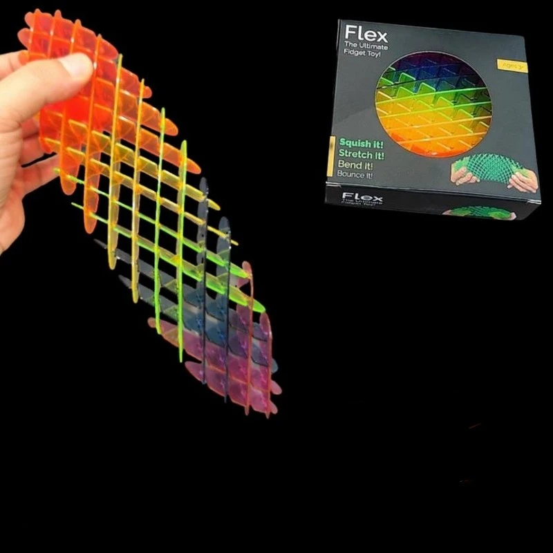 Rainbow Morf Fidget Worm Toy